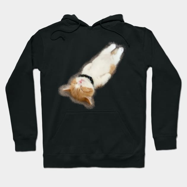 Cute cat sleep Hoodie by Ginstore